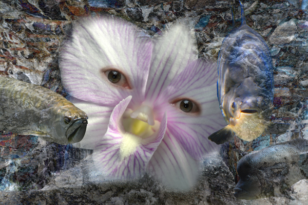 Flower Child and Fish