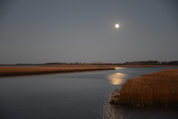 Assateague, Virginia Assateague, Virginia